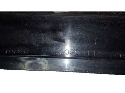 GM 22700601 Applique, Passenger Side