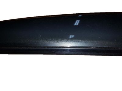 GM 22700601 Applique, Passenger Side