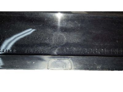 GM 22700601 Applique, Passenger Side
