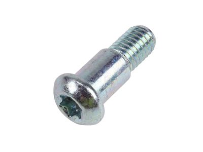 GM 12523243 Bolt, Transmission Reverse Idler Shaft 12523243 GM Bolt, Transmission Reverse Idler Shaft Product Photo 1 of 1