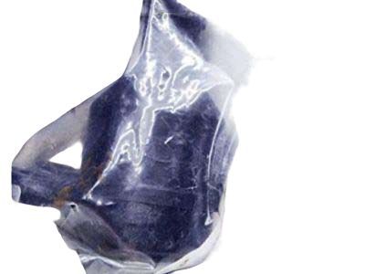 Chevy Equinox Ball Joint - 19258791