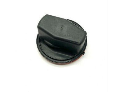 GM 23215569 Access Cover