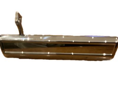 Buick Skyhawk Door Handle - 20332644