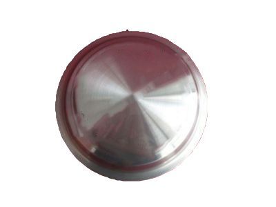 Chevy Caprice Wheel Cover - 10180840