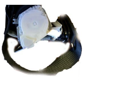 2010 Cadillac Escalade ESV Seat Belt - 19260312