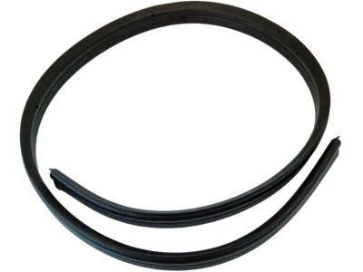 Hummer Weather Strip - 15063345