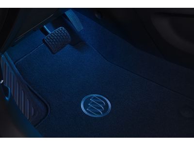 GM 42602487 Lamp Package, Courtesy / Dome / Reading Lamp GM 42602487 Lamp Package, Courtesy / Dome / Reading Lamp