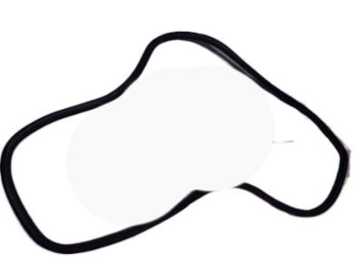 Chevy Sonic Door Seal - 95190186