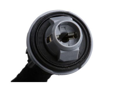 84677456 GM Harness, Rear License Lamp Product Photo 5 of 6