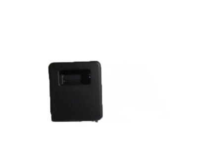 Chevy 23106384 Handle