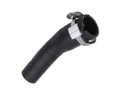 Buick 13247493 Filler Hose