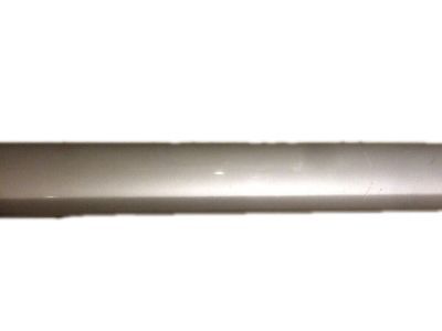 Chevy Colorado Door Moldings - 15218575