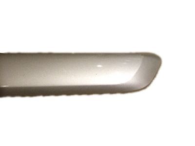 Chevy Colorado Door Moldings - 15218575