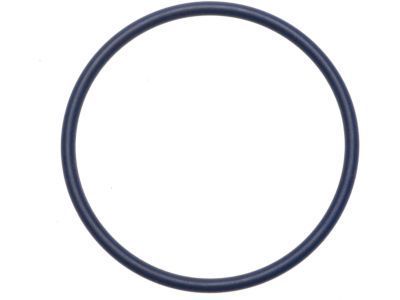 Pontiac 15552872 SEAL,VEHICLE SPEED SENSOR(O RING)(PART OF 3)(TEFLON)