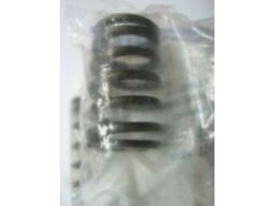 Buick Century Coil Springs - 22077724