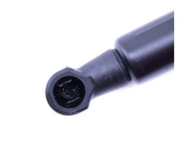 Pontiac Lift Support - 19184244