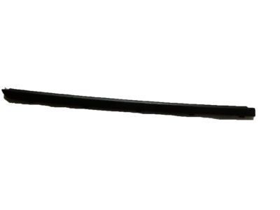 Chevy Express 3500 Door Seal - 15753758
