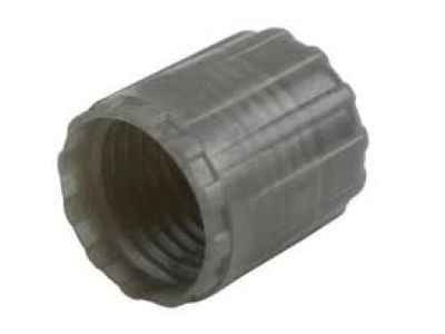 GM 15122620 Valve Stem Cap