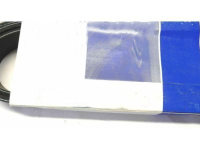 Buick Rendezvous Drive Belt - 12588408