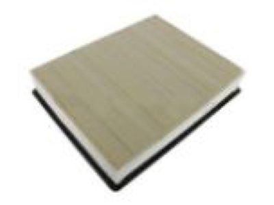 GMC Air Filter - 19166111