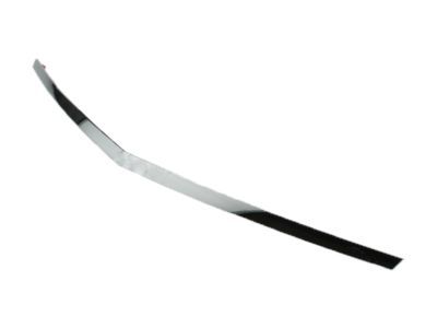 GM 20897985 Front Molding GM 20897985 Front Molding