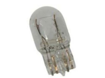 Buick Enclave Fog Light Bulb - 13591404