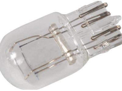 Buick Enclave Fog Light Bulb - 13591404