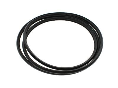 Cadillac Escalade EXT Weather Strip - 22815954