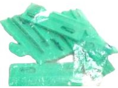 GM 10220975 Rocker Molding Retainer