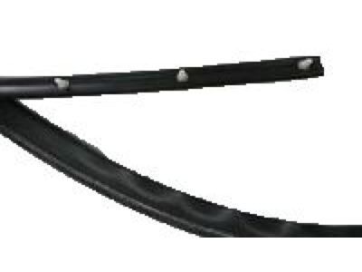 Pontiac Weather Strip - 22614341