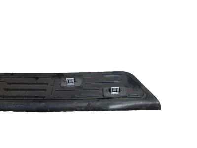 GM 23160093 Scuff Plate, Front