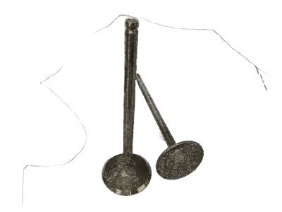 Chevy Exhaust Valve - 12678746