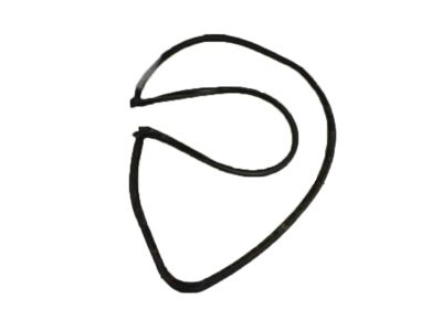 2012 Cadillac CTS Weather Strip - 20805481