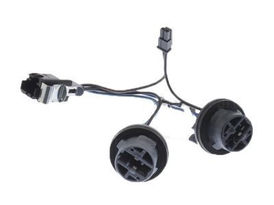 GM 20942279 Socket & Wire