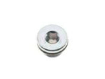 Buick Drain Plug - 19256068
