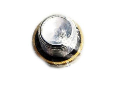 Buick Drain Plug - 19256068