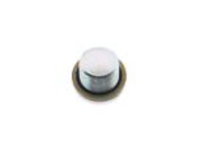 Buick Drain Plug - 19256068