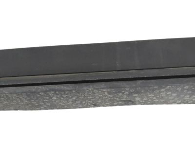 GM 84713653 Rocker Molding, Driver Side