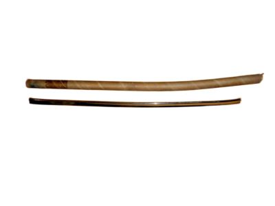 GM 25516150 Cushion, Black; White, Front Outer