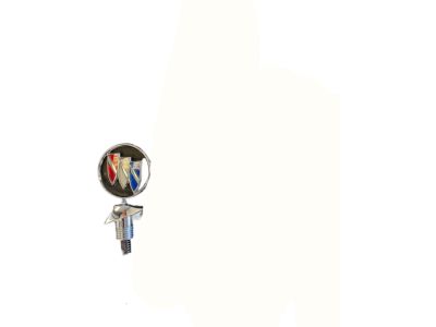 Buick 10103246 Ornament