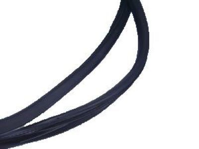 Cadillac STS Weather Strip - 15922955