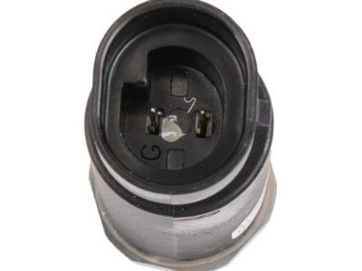 Pontiac Oil Pressure Switch - 19244509