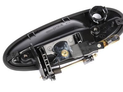Buick Riviera Door Handle - 25699151