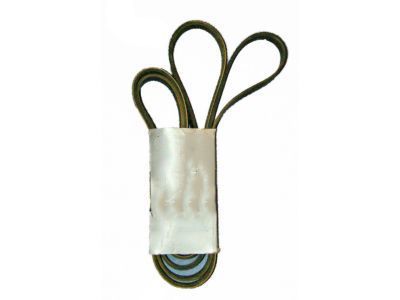 Chevy P30 Drive Belt - 12555011