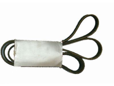 Chevy P30 Drive Belt - 12555011