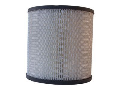 Buick Air Filter - 25043504