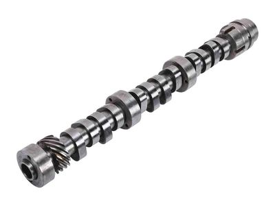 GM 19301050 Camshaft, Engine 19301050 GM Camshaft, Engine Product Photo 1 of 1
