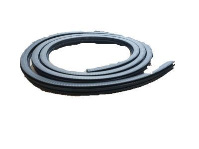 Cadillac Escalade EXT Door Seal - 15244247