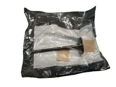 GMC Intake Valve - 12620501