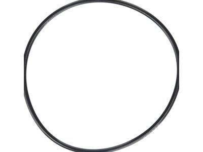 GMC Water Pump Gasket - 94013304